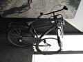 Cortina u4 Jongens zwart 48cm 2019