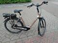 Stella livorno 504wh Dames champagne 51cm 2020