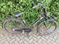 Cortina Cortina u4 grijs 51cm 2025